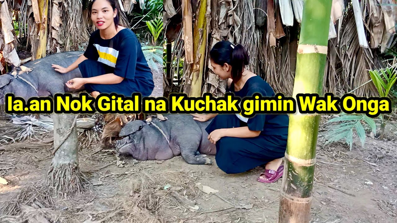 Apa Isol na kuchak gimin Wak onga || Ambeng mix Official |