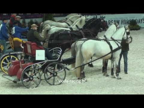 Konkurs powoenia - Warsaw Horse Days - 25.03.2011 - Part 2/2