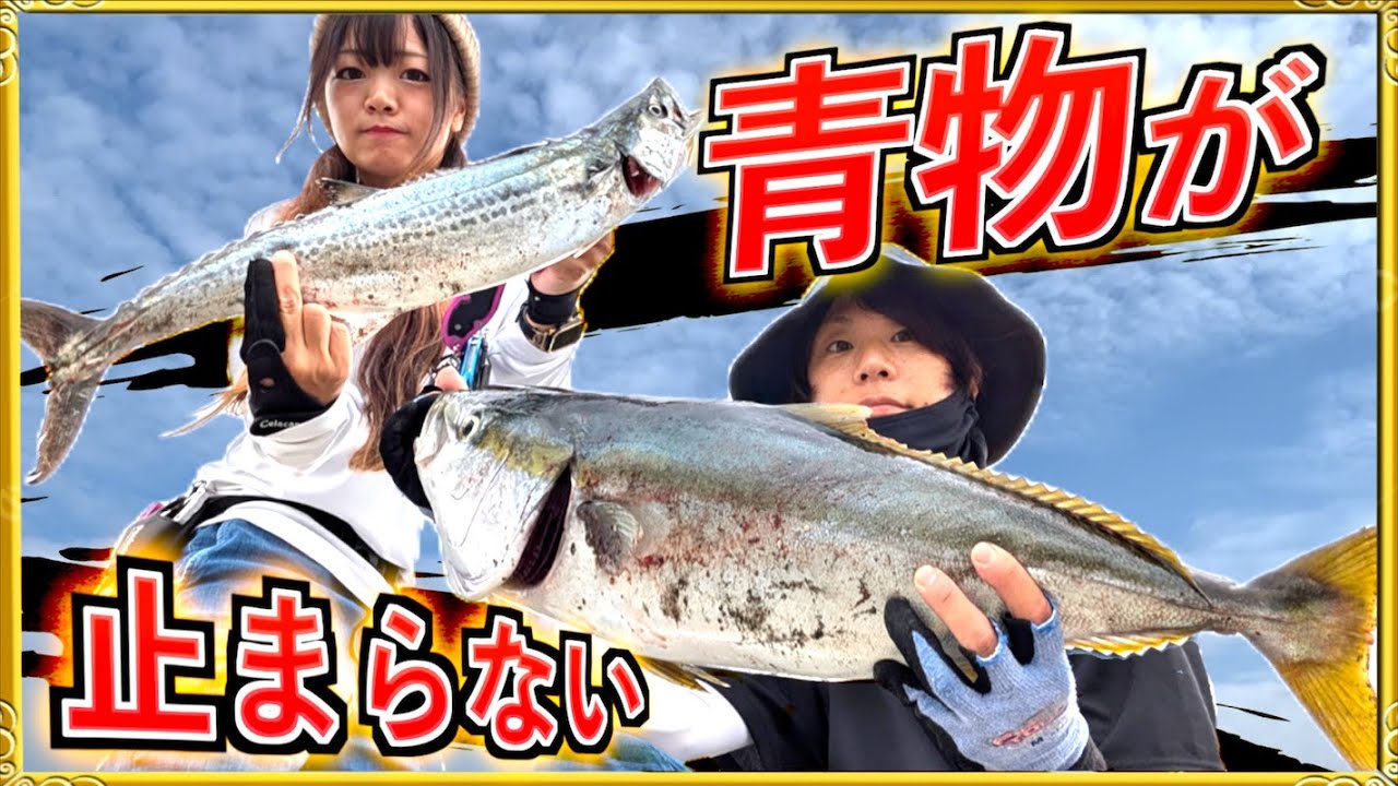 第375話【ショアジギング】愛媛の青物にめっちゃ効果的なジグ!?で連発!の巻