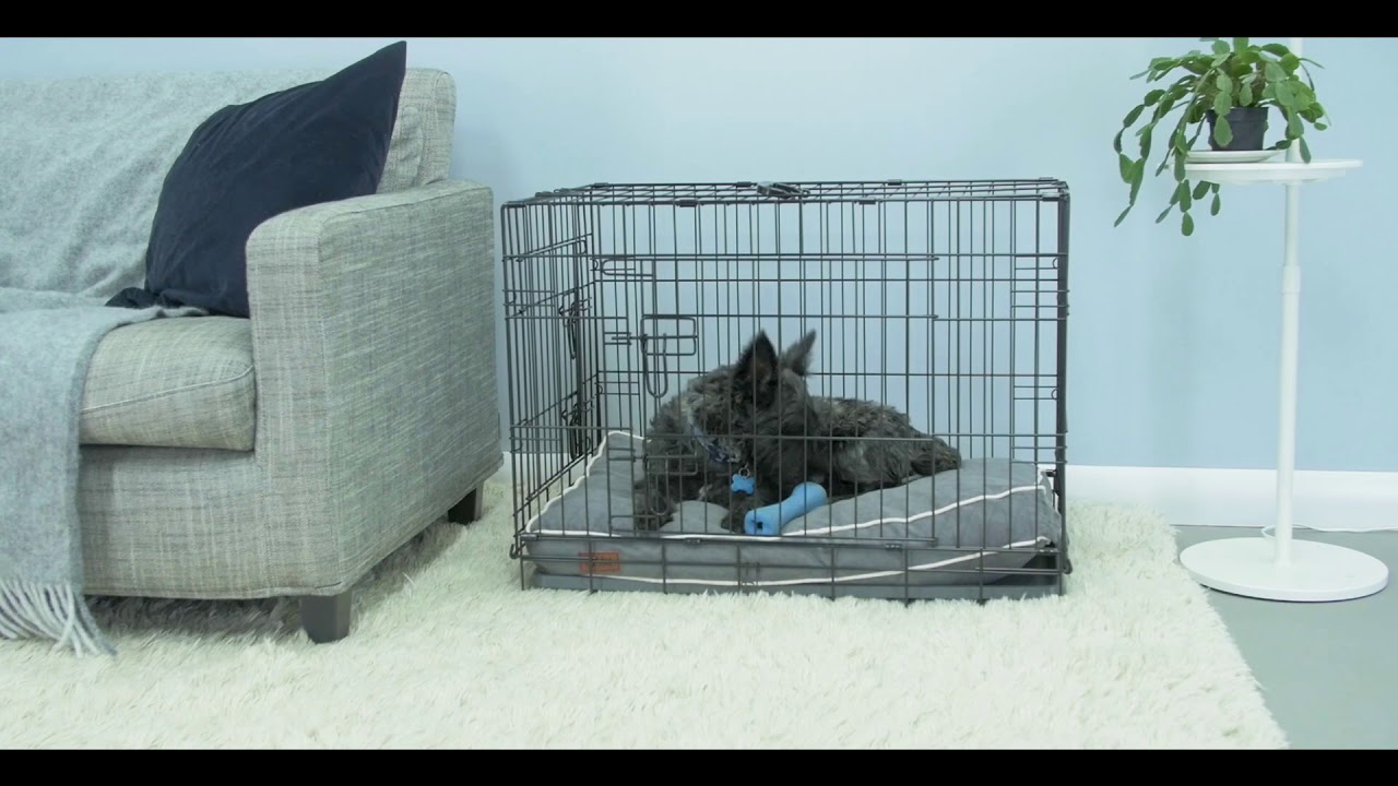 Puppy Crate Training with the Fido Classic (Home & Car) | Omlet Pet Products