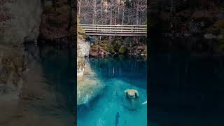 Following Nemo Through Blausee 🐟