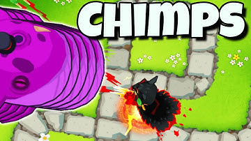 Druid Are Still OP! Monkey Meadow CHIMPS in Bloons TD 6