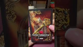 4 мая голос оракула Ирины Захарченко