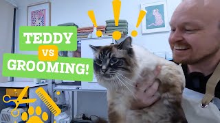 Teddy Vs Grooming!