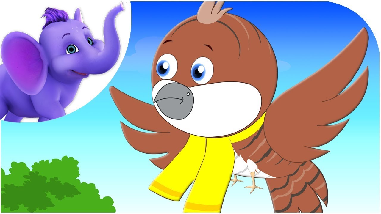 The Cuckoo Nursery Rhyme YouTube