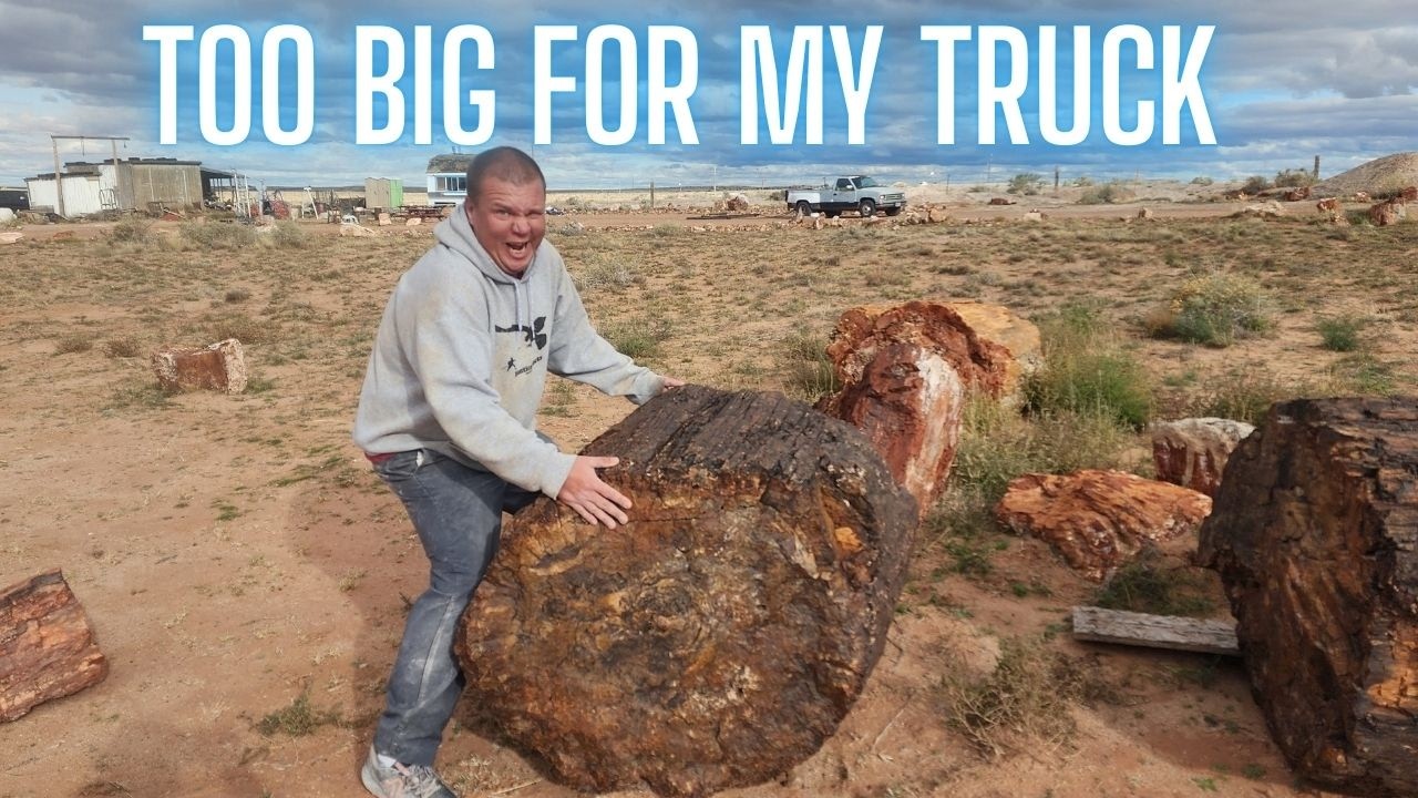 Мы нашли ОГРОМНОЕ окаменевшее дерево на ранчо Добелль.