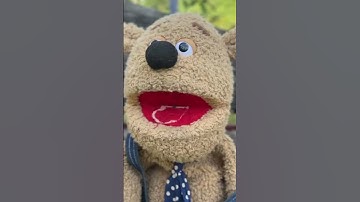 DAY:3of me shouting out MrBeast in every short until I hit 1000subs #subscribe #mrbeast #comment#fup