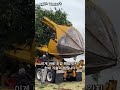 수십 년 된 나무를 5분 만에 옮기는 법 #worker #process #satisfying #landscaping #efficiency
