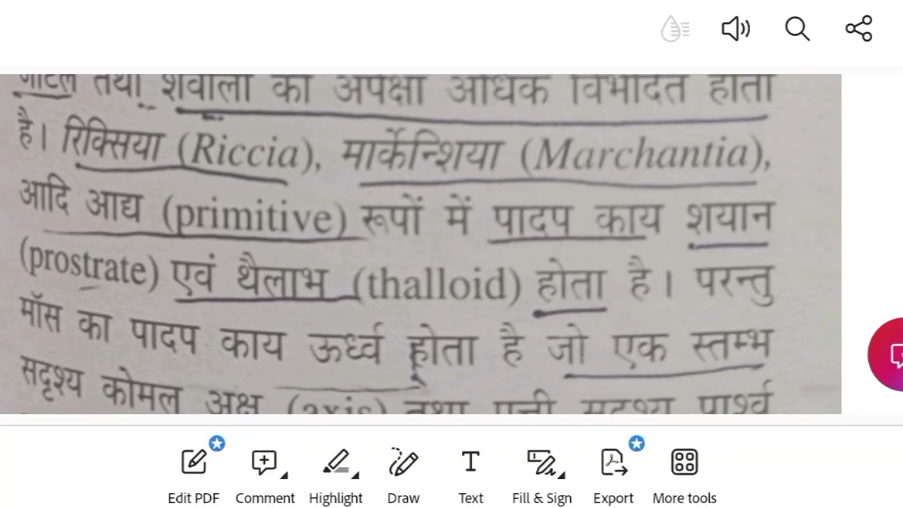 General characters of bryophyta for B.Sc.