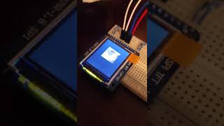 CECS 447 LAB06 DEMO