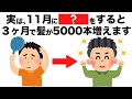 11月に行うと３ヶ月で髪が５０００本増える習慣とは！？【今日から始める健康雑学】
