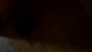 Opinion Sobre Retrovlogs La Puta De Internet