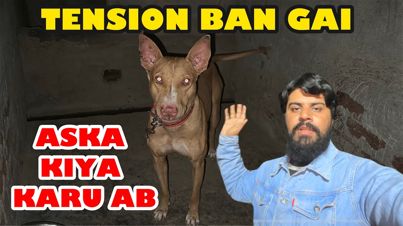 Tension Ban Atni Raat Ko Ab Kiya Karuu Samjh Nai A Rha😳😳😳