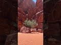 Khazali Canyon - Wadi Rum Desert