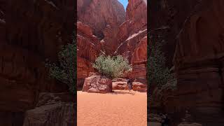 Khazali Canyon - Wadi Rum Desert