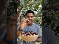 जामून #jamun #jamunfruit #highlights #lifestyle #highlights