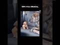 I Said It… I Said, I Said, I Said, “Biiiiiiiiiiiiiii!” 😂 #darkhumor #shorts #funnyaf #dogs #explore