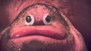WP 20160130 001