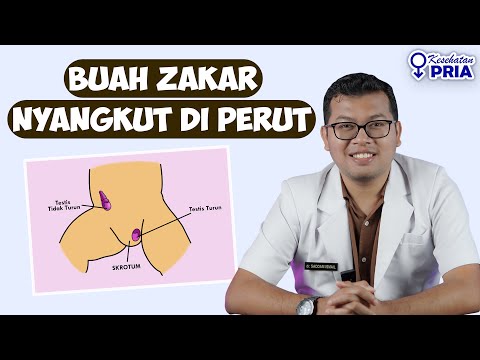 Video: Adakah testis yang tidak turun adalah kongenital?