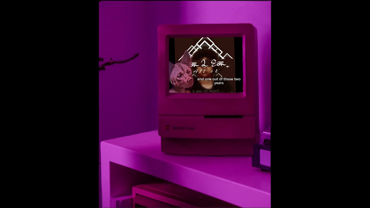 The laughing corner