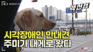 There is no reason to be kicked out of the supermarket. Story of Guide dogs Jumi and Joohye.