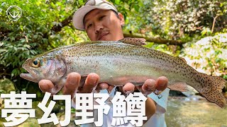 Taiwan! Trout fishing! The most beautiful stream, fishing my dream fish!