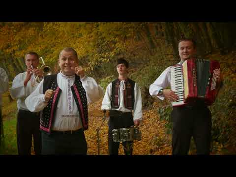 Anča Anča rapavá-