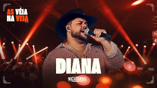 DIANA | Ricardinho Sanfoneiro [Clipe Oficial]