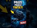 Paus Ini Bisa Mengeluarkan Tinta?! (Kogia sima)