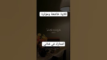 تلاوة خاشعة ومؤثرة #fypシ #religion #instagram #reels #فرنسا #fff #omletarcade #pakistan #indian