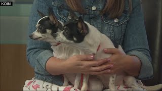 2nd Chance Pets: Lucy and Ethel