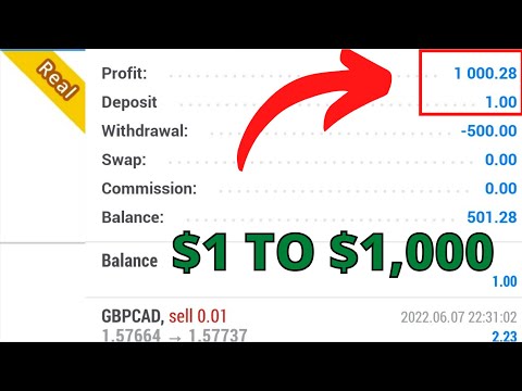 I Turned $1 Into $1,000 FOREX TRADING | Sophia Golden Version