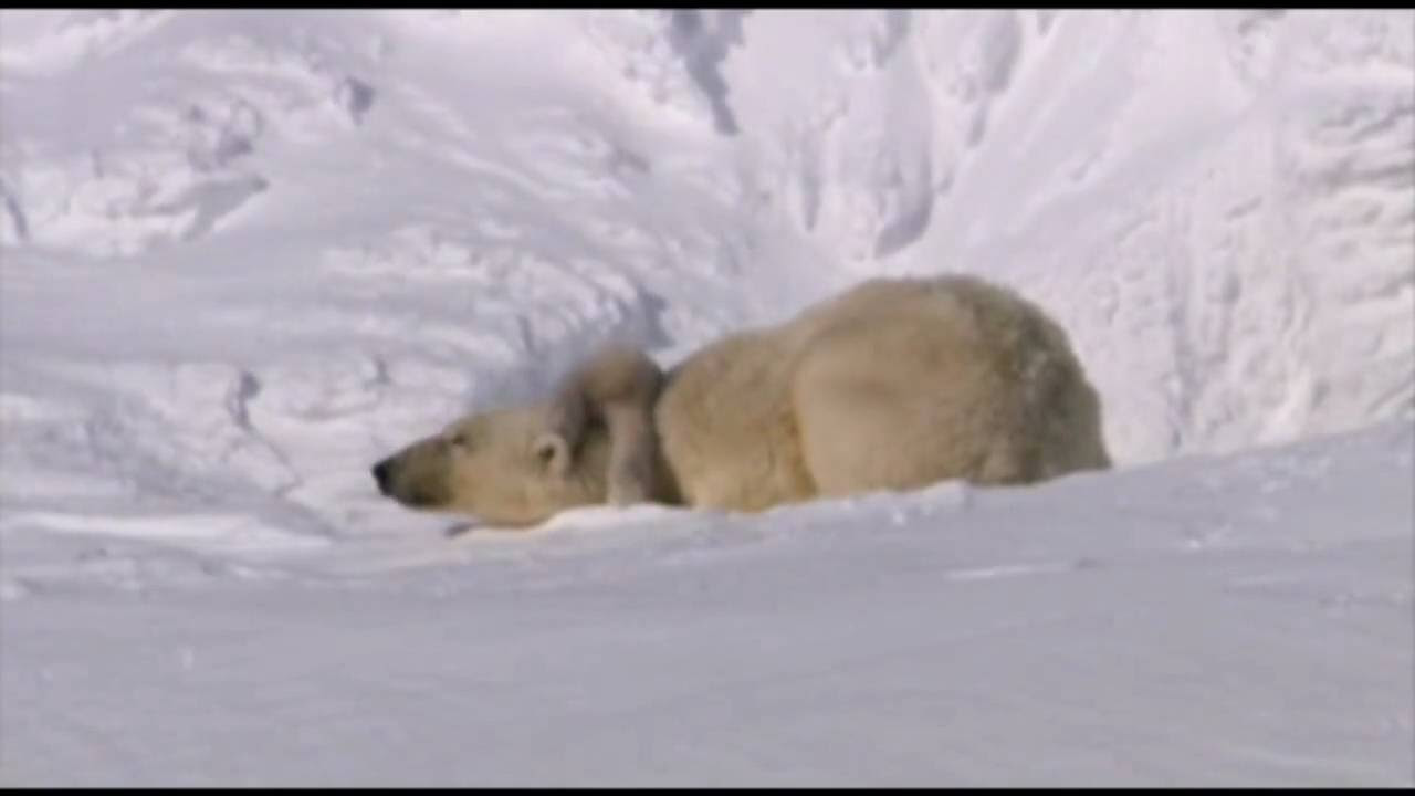 Chicago - Hard To Say I'm Sorry (Music Video)