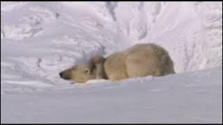 Chicago - Hard To Say I'm Sorry (Music Video)