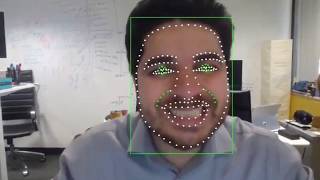 AlgoFace Facial landmarks tracker demo