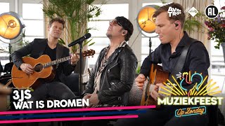 3JS - Wat is dromen • Muziekfeest op Zondag // Sterren NL
