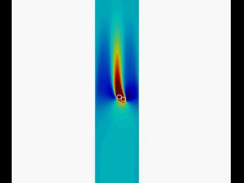 Lattice Boltzmann simulation of two particles sedimentazion (Drafting, kissing and tumbling)