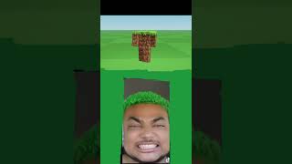 I Dont Look Like A Minecraft Dirtblock