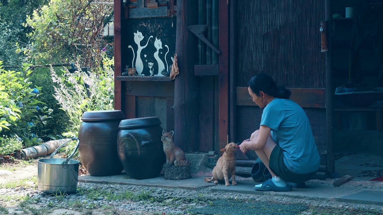 Жизнь в горной деревне в жаркий летний день июля~!!