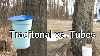 Traditional vs Tubes  -Maple Syrup 2021 Vlog #2