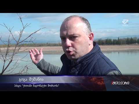 \"საქართველოს მთავრობამ ბაყაყებს  რექტორი დაუნიშნა\"-გიგა შუშანია