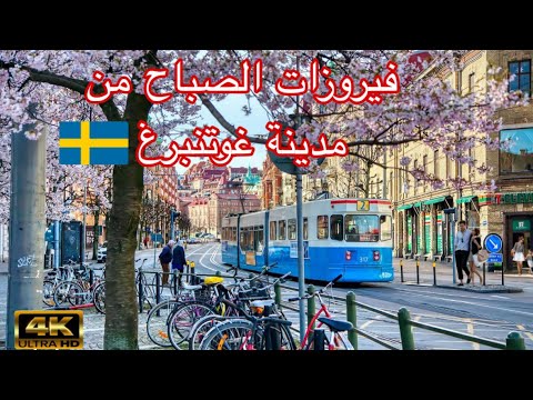 فيروز  أجمل اغاني صباح مع فيروز  فيروزيات الصباح قهوة صباح الخير السويد