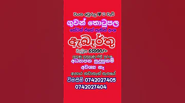 2025 Jobs Aire Port Job Vacancies Abarthu Rakiya ග වන ත ට ප ළ ර ක ය ඇබ ර ත 2025 New Jobs 