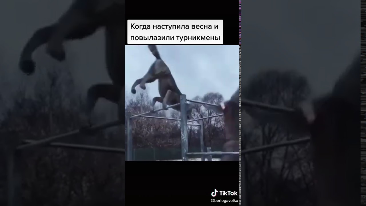 Видео никому никогда