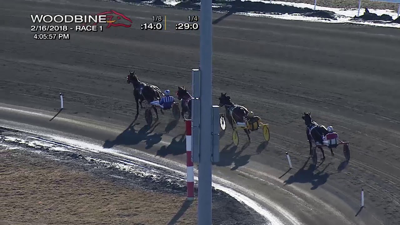 Woodbine, Sbred, February 16, 2018 Qualifier 1 YouTube