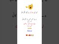 Urdu Quotes#funny  #unfrezzmyaccount #memes  #jokesmemes #comedy #trending