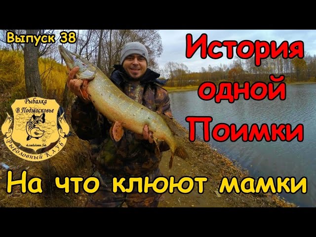 Видео о рыбалке №1666