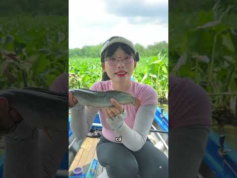 Nấu ăn từ cá câu được #caucachill #fishing #caucathugian #caucamuamua #cuoccauca #cakhotieu