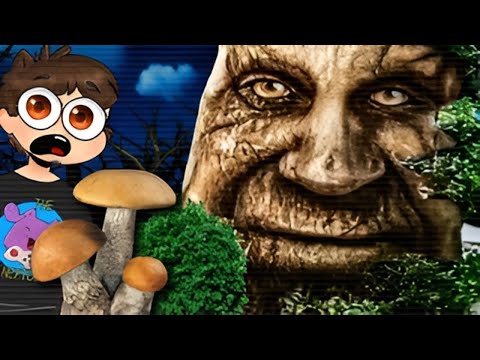 ПОШЕЛ ЗА ГРИБАМИ И НАШЕЛ МУДРЫЙ ДУБ ► The Curse of The Wise Tree