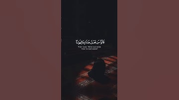 قالوا من فعل هٰذا بِئالهتنا - القارئ : احمد النفيس - سورة الانبياء #tiktok #quran_h2o